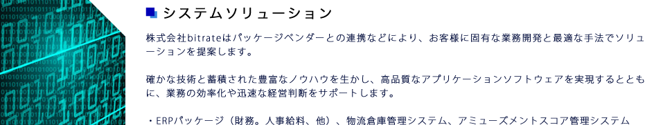 システムソリューション